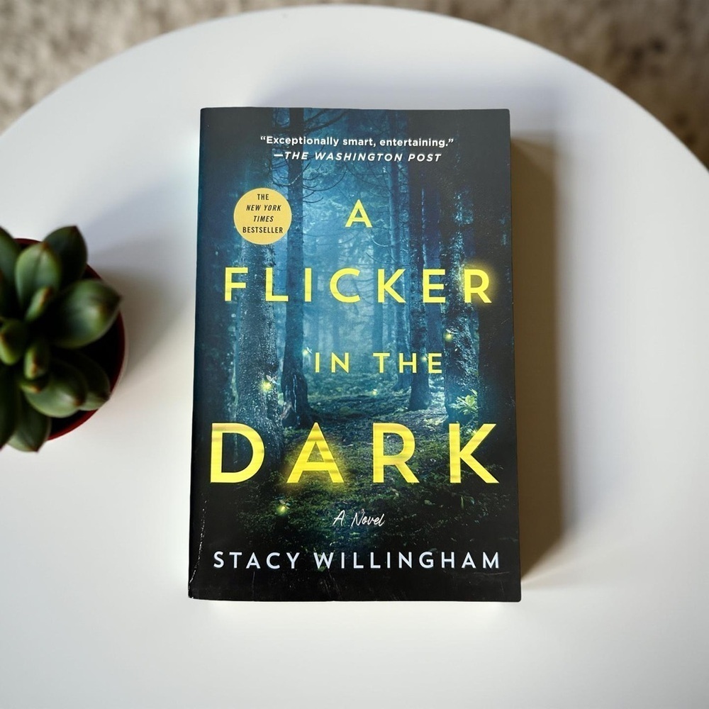 A Flicker in the Dark by Stacy Willingham: Softcover Book